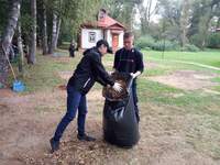 image (11)